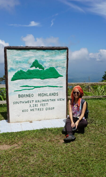 Kalimantan viewpoint